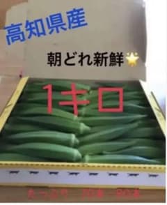 朝どれ新鮮オクラ　約１キロ　即発送のサムネイル