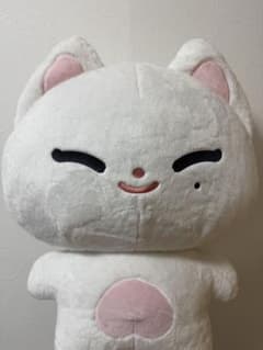 enhypen ソヌ sunoo 50cm ぬいぐるみ ENHYPEN ソヌ SUNOO ぬいぐるみ 50cm - メルカリ