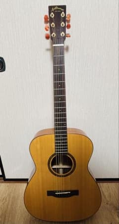 Aria Dreadnought アコギ　MARTINストラップなどおまけ付き Aria Dreadnought アコギ MARTINストラップなどおまけ付き - メルカリ