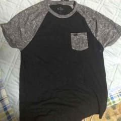 専用出品 hollister Tシャツのサムネイル