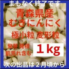 青森県産むきにんにく 極小粒 極小変形など 1kg 発芽 発根 肌荒れ含む