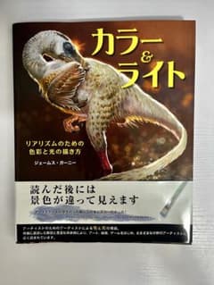 カラー&ライト ジェームス・ガーニーのサムネイル