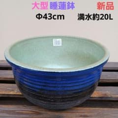 新品　特大51　陶器　睡蓮鉢　メダカ鉢　難有　ラリマーブルー　スカイブルーLWC 新品 大型 ∅43 陶器 睡蓮鉢 メダカ鉢 高級 青&緑 高級 ルーバー MLB