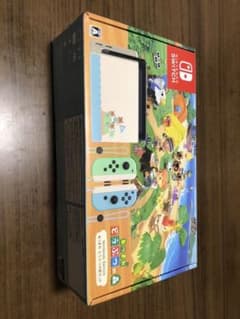 【Sylvie様】【Nintendo Switch あつまれどうぶつの森セット】のサムネイル