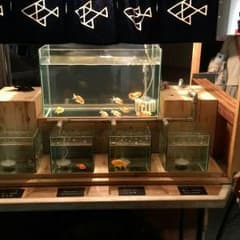 やすひろ様専用のサムネイル