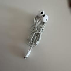 Lightning 순정 이어폰 Apple
