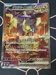 タケルライコex SAR スカーレット&バイオレット 拡張パック ワイルド