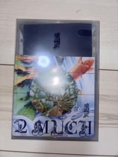 龍宮城 2 MUCH CDのサムネイル