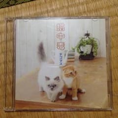 テゴマス   猫中毒のサムネイル