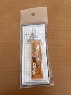 mini◎プロフィール必読様 リクエスト 2点 まとめ商品のサムネイル