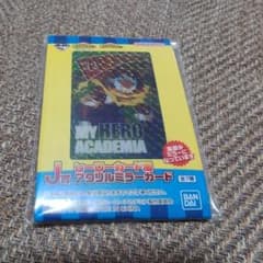 MY HERO ACADEMIA 히로아카 이치 반 쿠지 더 저편에