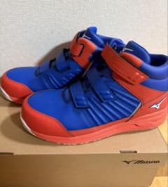 安全靴 赤 青 まとめ売り Mizuno 青 赤 ハイカット 安全靴 27㎝ - メルカリ