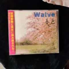 Waive 봄 색