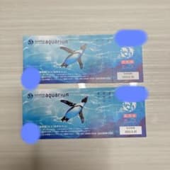 サンシャイン水族館　チケット　前売り券　大人2枚のサムネイル