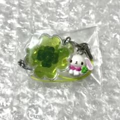 クローバー シュガーバニーズ しろうさ