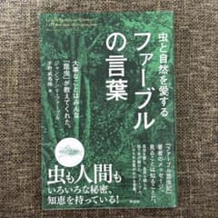 虫と自然を愛するファーブルの言葉のサムネイル