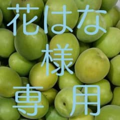 花はな 様専用 青梅のサムネイル
