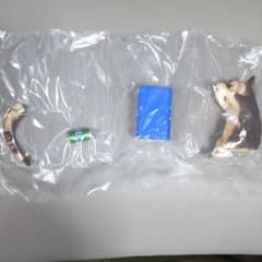 アニマルキャンプpart2  ガチャガチャ セスジキノボリカンガルーとドリンクのサムネイル