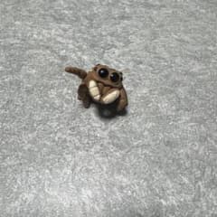 ハエトリグモ カプセルトイ 可愛いクモのサムネイル