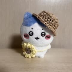 치이카와 하치와레 칸캉 모자풍 해바라기