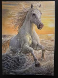 色鉛筆画 A4 波を越える白馬 - メルカリ