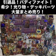 引退品！希少！バディファイト】シークレット・バディレア・ガチレア