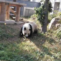 返金ページのサムネイル
