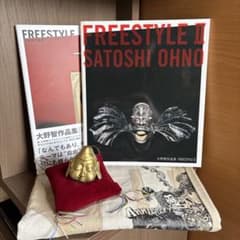 嵐/大野智FREESTYLE SATOSHI OHNO - メルカリ
