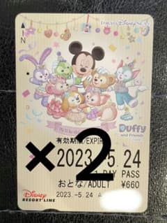 ２枚セット！リゾラ　フリーパス！！！のサムネイル