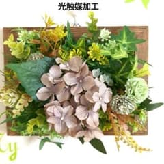 ★ウォールグリーン　光触媒加工　❺のサムネイル