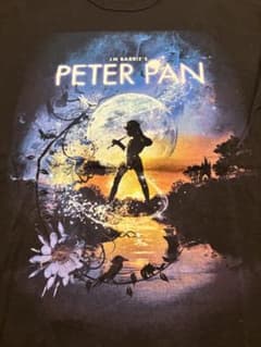 古着ピーターパンTシャツ　XL相当　tultexボディのサムネイル