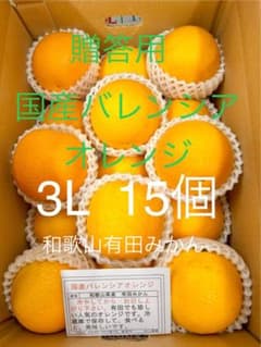 贈答用 国産バレンシアオレンジ 3L 15個 和歌山県有田みかん - メルカリ