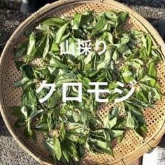 天然素材】 山採り クロモジの葉 ドライ 約50g ゆうパケットポスト