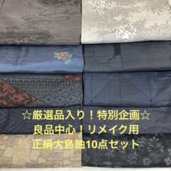 彦兵衛mini】厳選品入り！良品中心！正絹大島紬10点セット 0529-5