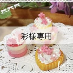 【彩様専用】のサムネイル