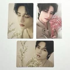 TXT 2024 DREAM WEEK ボムギュ ミニフォト 特典 セットのサムネイル