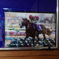 第58回 有馬記念 オルフェーヴル ゼッケンレプリカ 写真付 - メルカリ