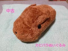 카피바라씨 봉제인형