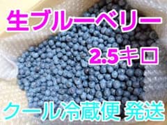 ブルーベリー 2.5キロ クール(冷蔵)便 発送のサムネイル