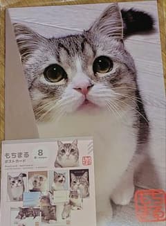 もちまる ダイソー ポストカードのサムネイル