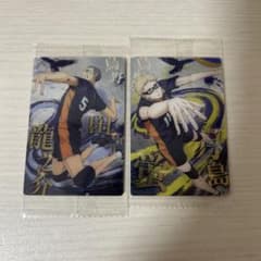 극장판 하이큐 쓰레기 버려진 장소의 결전 웨이퍼