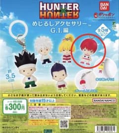 HUNTER × HUNTER 메지루시 액세서리 히소카
