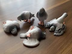 つかれきったハト ガチャガチャのサムネイル