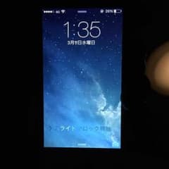たかや様専用です！のサムネイル
