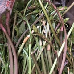 秋田産山菜シオデ　まーさん様専用のサムネイル