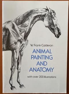 Animal Painting and Anatomyのサムネイル