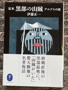 黒部の山賊 アルプスの怪　伊藤正一　文庫本のサムネイル