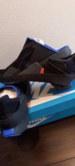 NIKE GO FLYEASE ゴーフライイーズのサムネイル