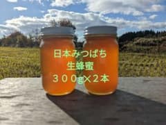 日本みつばち　生蜂蜜　国産純粋　日本蜜蜂蜂蜜　#2のサムネイル