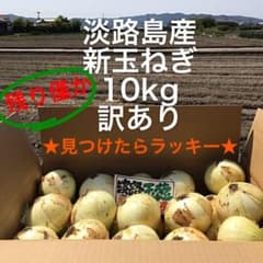 ★見つけたらラッキー★ 期間限定出荷　淡路島産　新玉ねぎ　10kg  訳ありのサムネイル